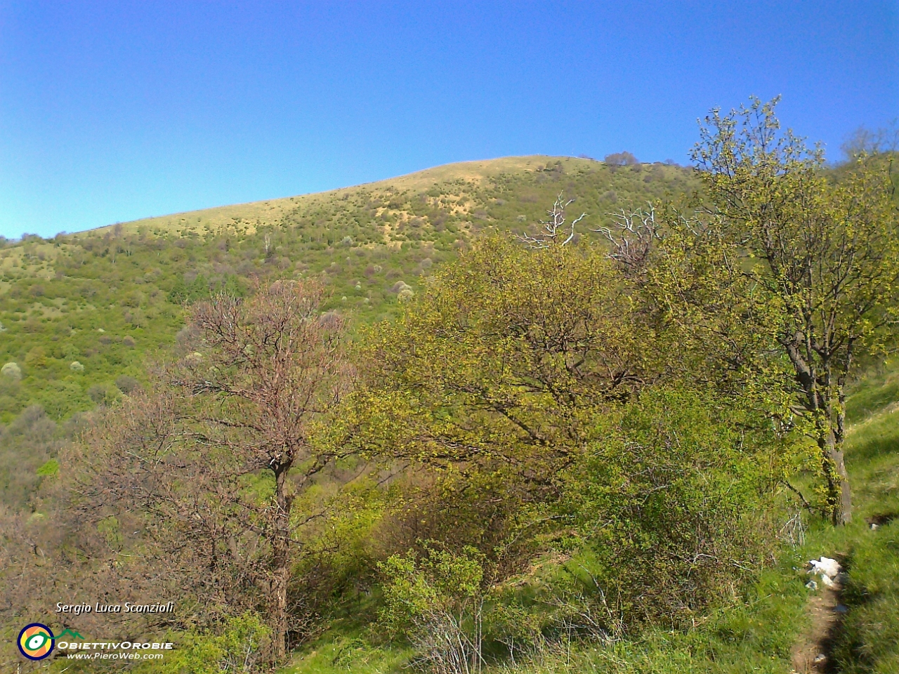 22 Sono ormai fuori dal bosco .jpg
